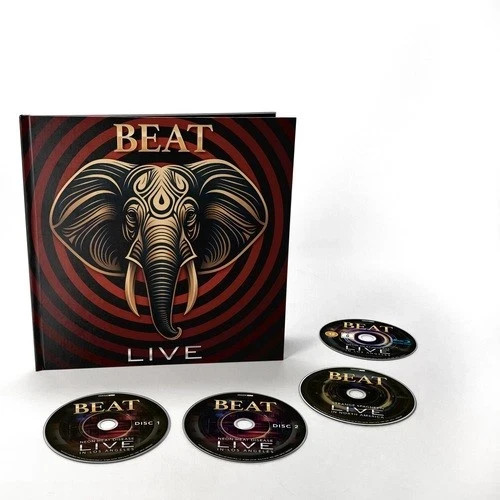 Beat live neon heat disease - beat, live,